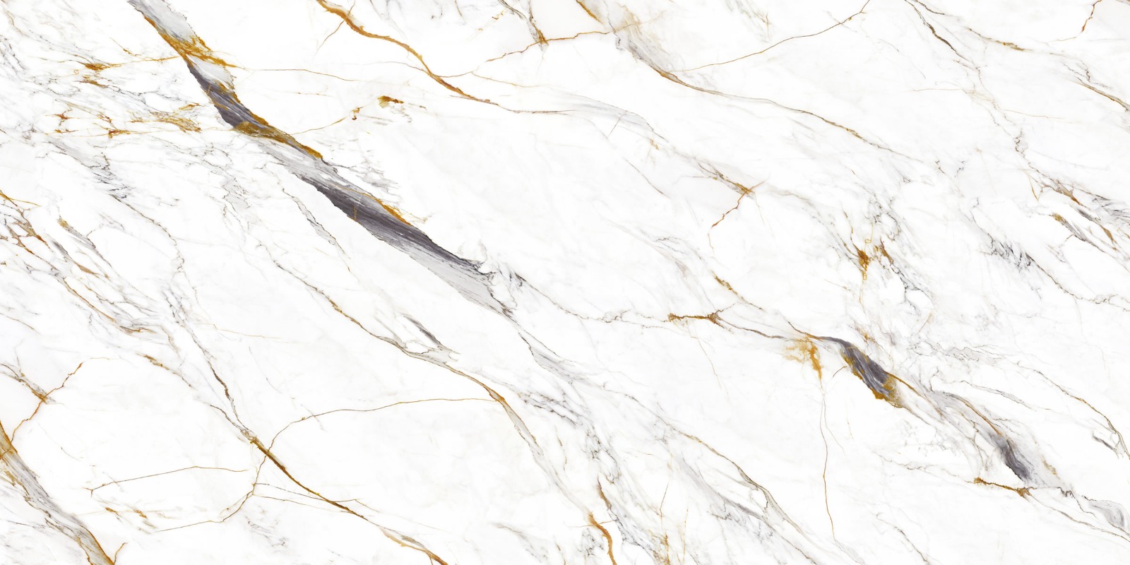 Calacatta Venera slab sample